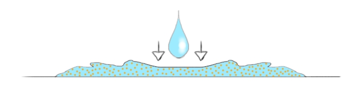 L'eau en mouvement entraine les pigments formation auréole