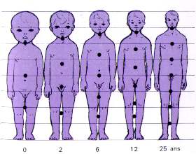 Evolution des proportions.