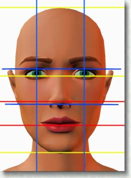 Proportions du le visage. Placement des lments.